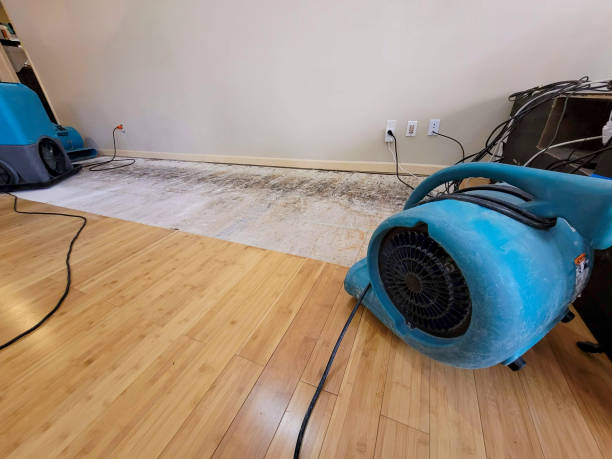 Professional Basement Flood Cleanup technician working in Ridgeway, SC